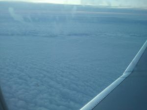 2011-04-25 20.27.06.jpg