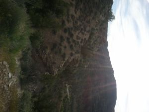 2011-04-27 18.10.46.jpg