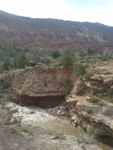 2011-04-27 18.32.35.jpg